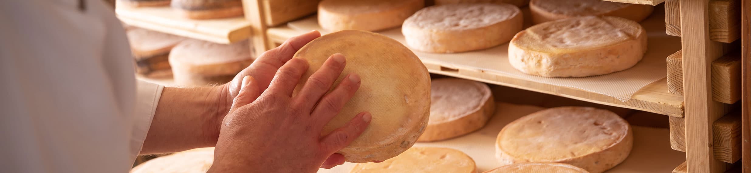 Histoire de la fromagerie Antony