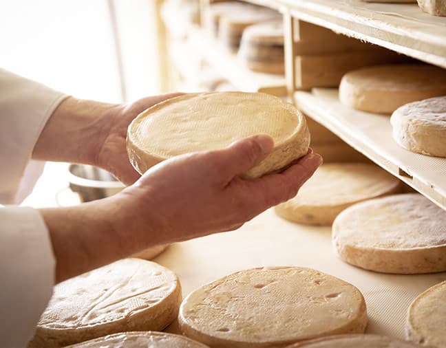 Fromage au lait cru tenu dans deux mains