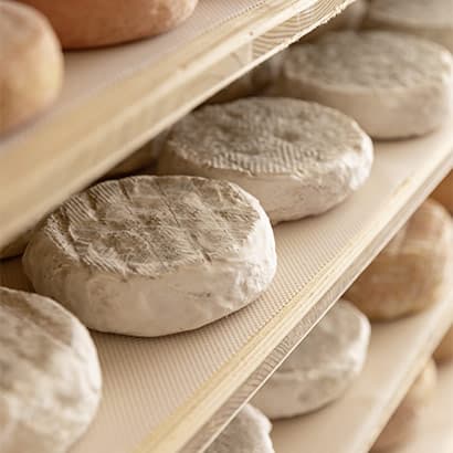 Cheeses with bloomy rinds