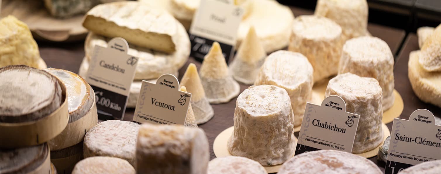 Our cheeses and our favourites