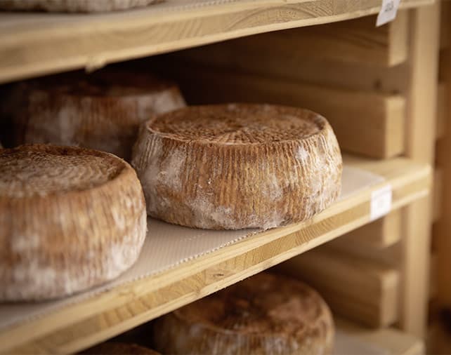 Fromages dans une cave d'affinage