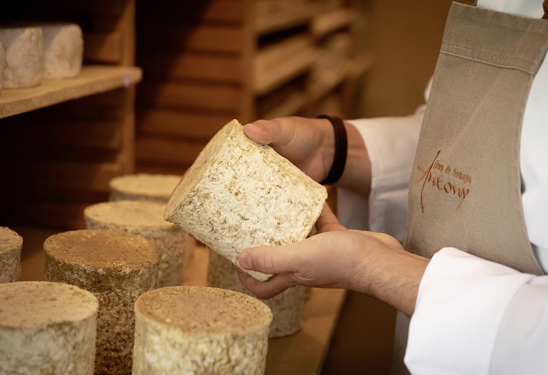 Zoom sur un affineur qui tient en main un fromage