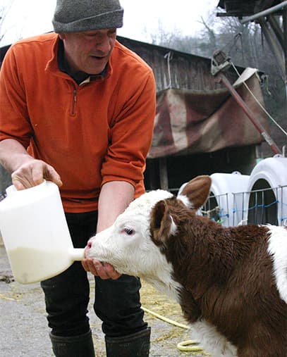 Ferme de Plantimay