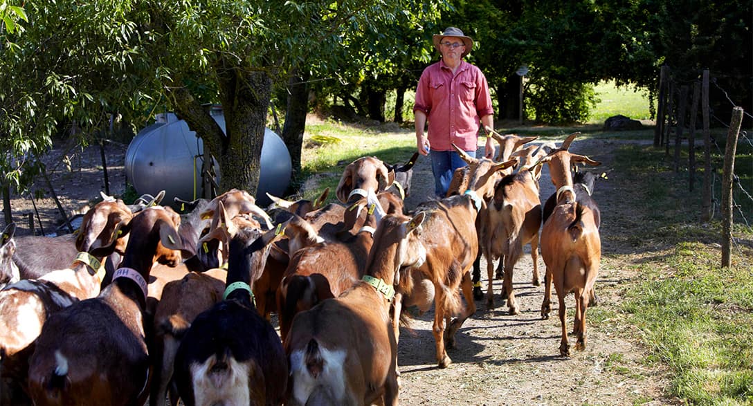 Ferme du Bois Rond, Sainte Maure